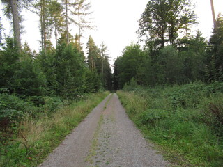 Waldweg