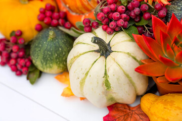 A rich harvest. Thanksgiving day. Autumn background of colorful, decorative pumpkins, flowers and berries of mountain ash and succulents. The concept of the Halloween holiday.