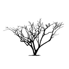 isolated silhouette black dead tree, natural plant sign, vector illustration - 453070065