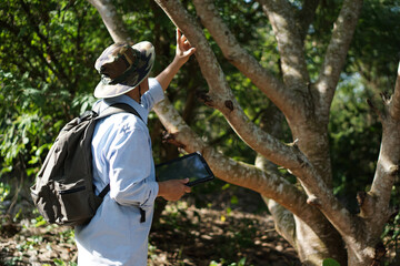 Obraz premium Asian male backpack hiker travel alone in forest , survey and collect information of botanical plants by using smart tablet. Concept : backpacking tourism, adventure, Environment field research. 