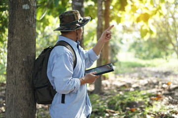 Asian male backpack hiker travel alone in forest , survey and collect information of botanical plants by using smart tablet. Concept :  backpacking tourism, adventure, Environment field research.