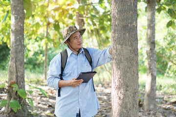 Asian male backpack hiker travel alone in forest , survey and collect information of botanical plants by using smart tablet. Concept :  backpacking tourism, adventure, Environment field research.  