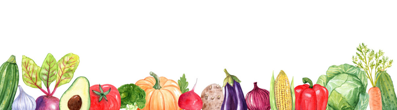 Watercolor various vegetables banner isolated on white background