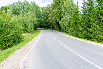 Fototapeta na wymiar Empty Asphalt winding curve road in a green forest.Landscape with empty asphalt road through woodland in summer day.