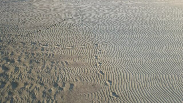 Cross trails of human footprints on wavy pattern sand of dunes in the desert.