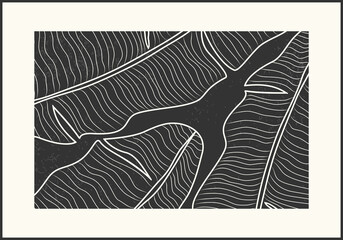 Minimalist poster as botanical line art with banana palm leaves