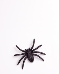 Flat lay of black horror spiders of different sizes directions on white backdrop with copy space. Halloween decoration spooky background concept for holidays