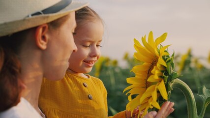Happy kid and mom examines sunflower flower. Little daughter in arms of farmer's mother looks at sunflower flower in field in rays of sun. loving family travels through blooming sunflower plantation.