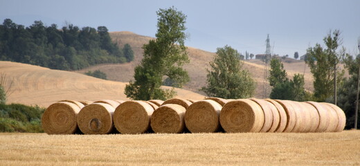 Obraz premium Liebliche Landschaft der Crete Senesi mit Strohballen im Vordergrund