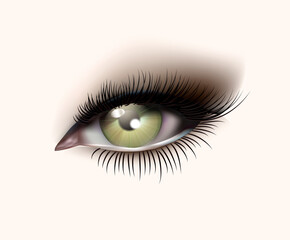 realistic green eye with long eyelashes illustration white background
