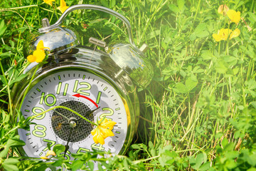 An alarm clock lies in the grass with flowers. Daylight saving time concept