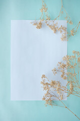 Gypsophila dried flower on pastel blue background, Mock up Paper blank, Top view , copy space