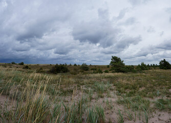 marsh grass and sand dunes on the coast under an overcast and ominous dark sky