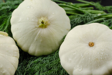 Close-up three Raw Pattypan squash and a bunch of green dill on