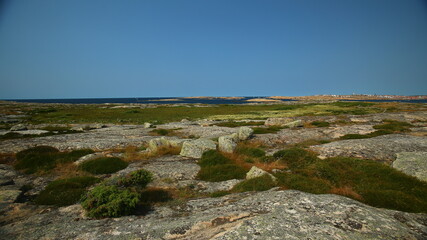 Fototapeta na wymiar The nature reserve Hallon on an island near Smogen in Sweden