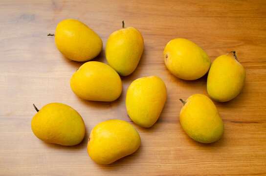 Bunch of 9 Alphonso ripe yellow mangoes on table. Studion shot