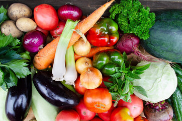 fresh vegetables from the garden. healthy food. farm seasonal food