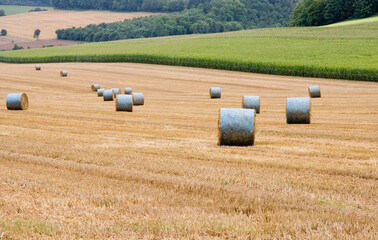 Stroh-Rundballen Kornfeld 1