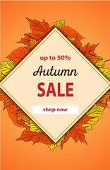 autumn sale