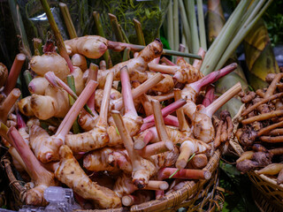 The galangal is sold on vegetable stalls.