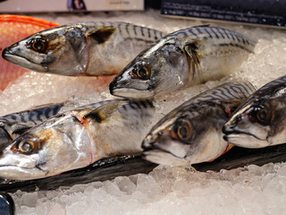 Saba fish are sold at seafood stalls.
