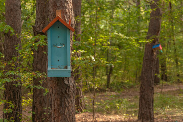 Feeders for birds in the city park