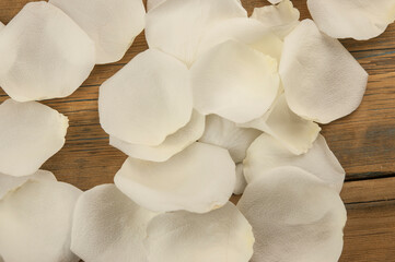 White rose petals on the brown wood table. Romantic date. Birthday. Wedding. Holiday. Copy space