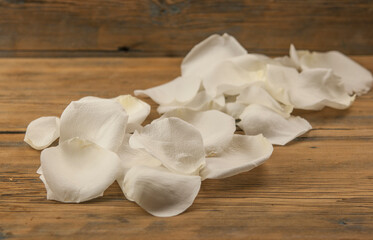 White rose petals on the white wood table. Romantic date. Birthday. Wedding. Holiday. Copy space