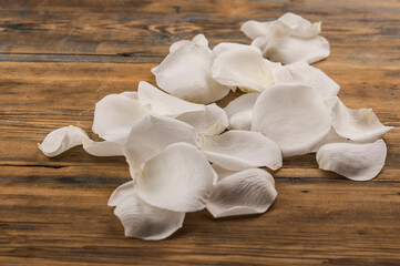 White rose petals on the white wood table. Romantic date. Birthday. Wedding. Holiday. Copy space