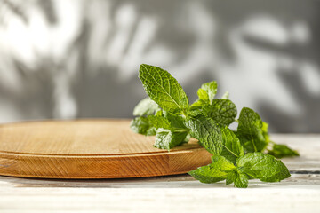 Fresh mint leaves and free space for your decoration 