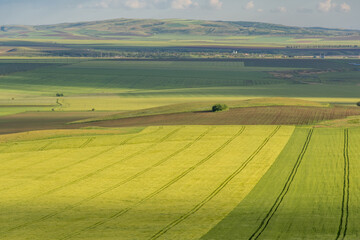 Obraz premium dobrogea landscape with agricultural fields