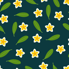 Seamless pattern frangipani flower pattern background. vector background image.
