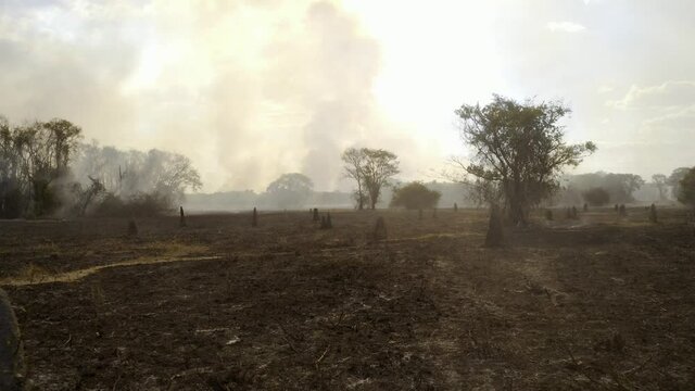 Farmers set fire to Brazil's Pantanal wetland wilderness as a deforestation tactic - aerial view