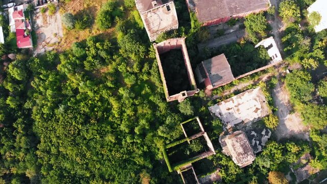 1853 Assan's steam mill in Bucharest. slowlly reclaimed by nature.The first industrial establishment based on mechanized work and steam power was introduced in 1853, in the form of the Assan Steam Mil