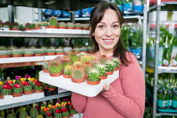 Smiling woman holding box with cactuses in pots in the garden center. Female person shopping houseplants for home at plant nursery. Wholesale indoor plants concept