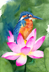 Watercolor illustration of a small kingfisher bird with turquoise feathers sitting on a pink lotus flower on a dark green background