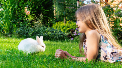 A decorative dwarf rabbit is eating grass on the lawn in the garden. The girl lies on the lawn and...