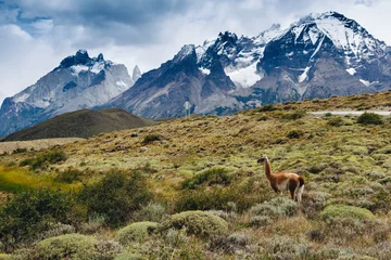 Papier Peint photo autocollant Cuernos del Paine Parc national Torres del Paine, Patagonie, Chili