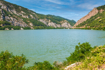 A landscape of Danube river, with forest and rocks