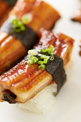 Eel sushi on a plate 