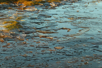 Abstract texture found in the natural world