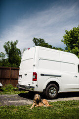 Portrait of Large Dog Laying on Ground in Front of Van in Ohio