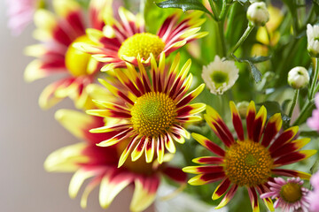 yellow and red flower
