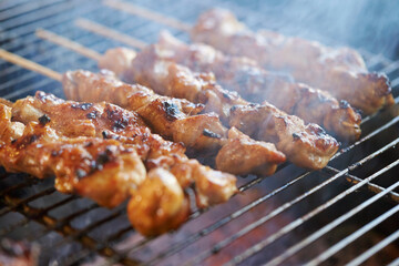 Chicken skewers on the grill 