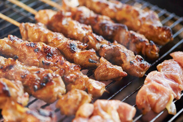 Chicken skewers on the grill 