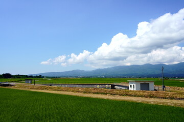 田んぼの広がる平野