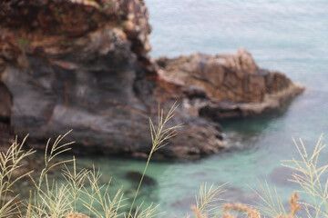 Abstract texture found in the world