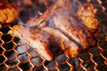 Spicy Chicken Ribs on the Grill