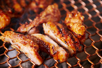 grilled meat on the grill