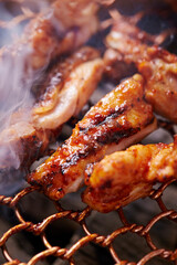 Spicy Chicken Ribs on the Grill